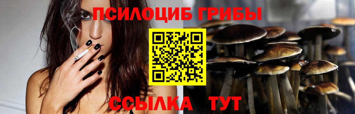 Псилоцибиновые грибы мицелий Учалы