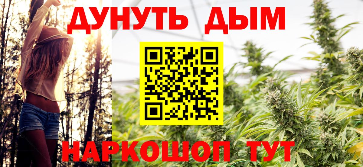 Бошки Шишки семена Учалы